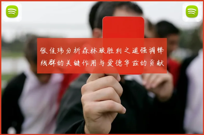 张佳玮分析森林狼胜利之道强调锋线群的关键作用与爱德华兹的贡献